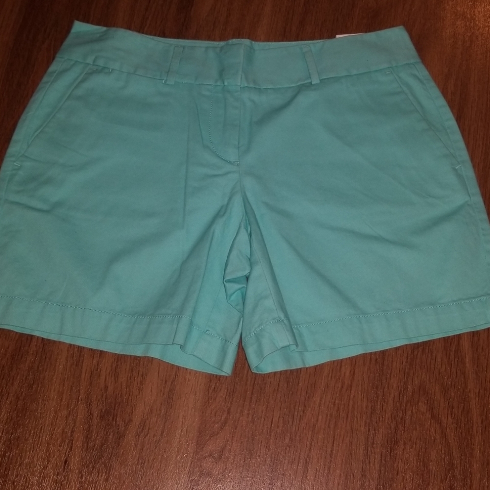 NWT Light blue/turquoise Loft shorts!